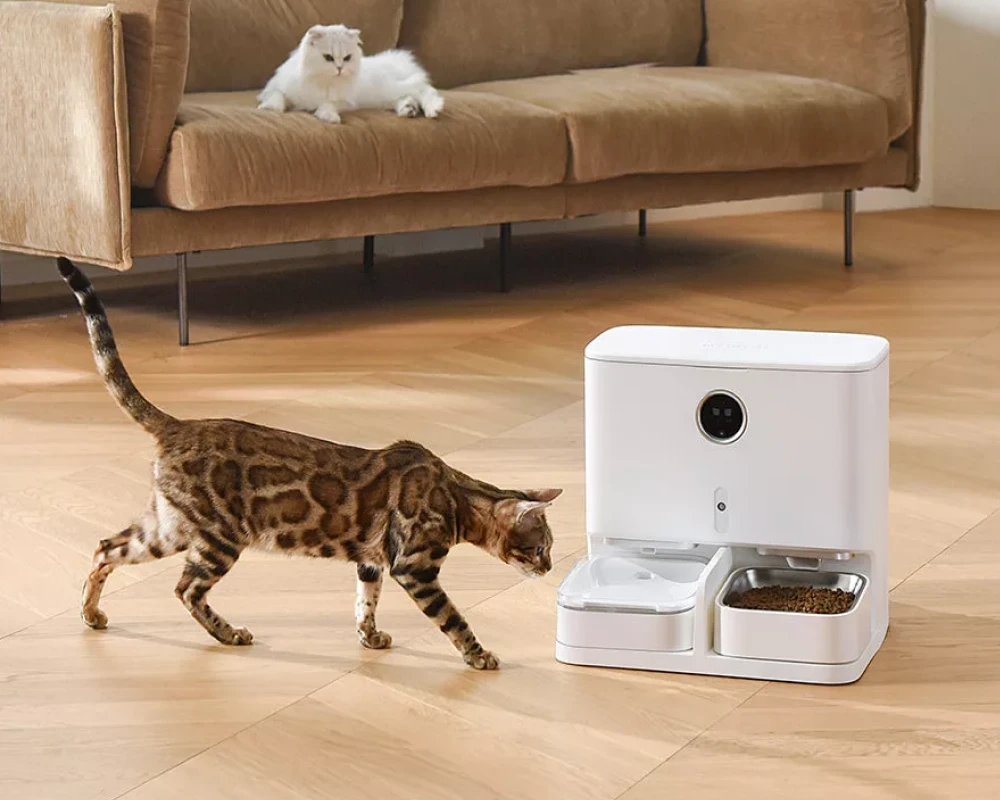 best cat feeder with camera - Ace Pet Care With The Best Cat Feeder With Camera: A Step Into Next-Gen Animal Nurturing