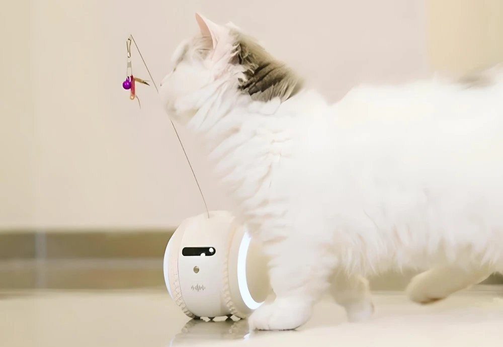 cameras to watch pets - A New Era In Pet Care: Embracing Technology With Cameras To Watch Pets