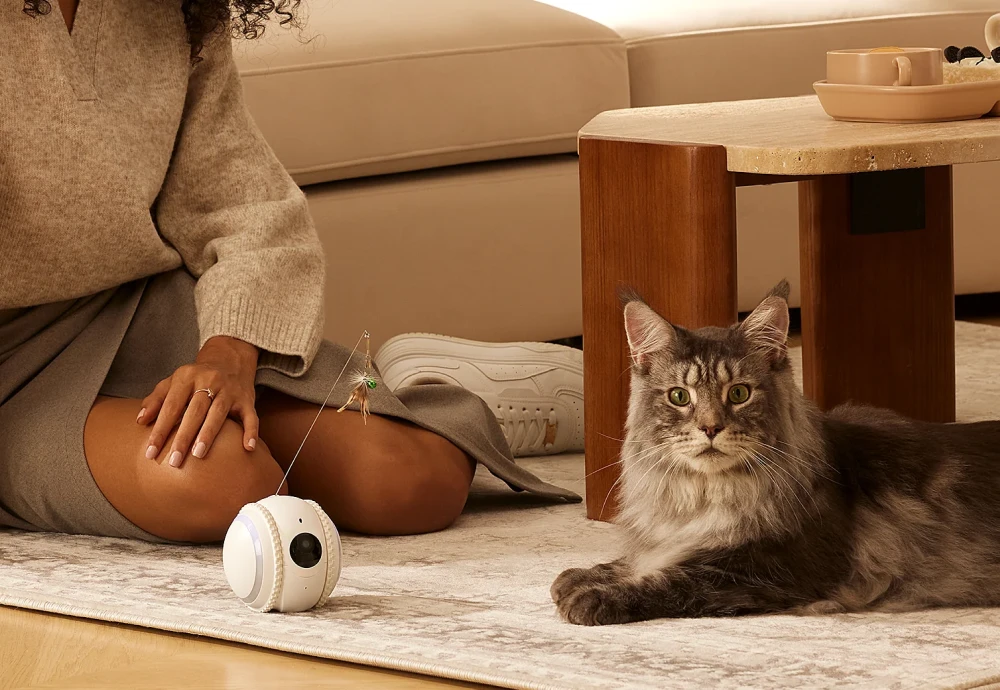 A New Era In Pet Care: Embracing Technology With Cameras To Watch Pets