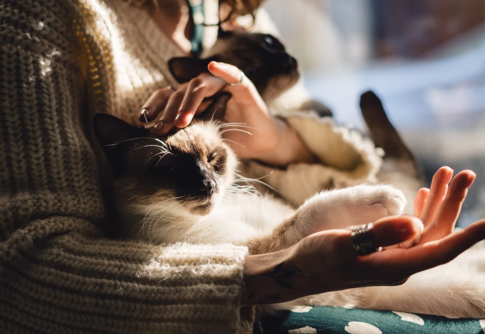 video camera for watching pets - Capture Every Moment: The Future Of Pet Monitoring Is Here!