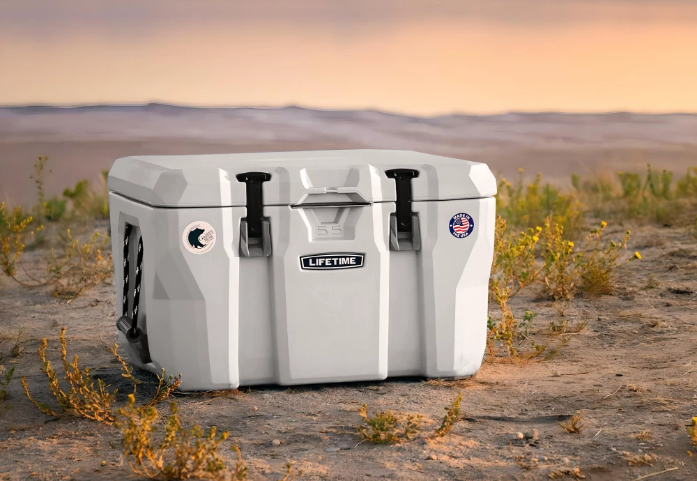 ice box cooler for car - Ice Box Cooler For Car: The Game-Changer For Your Outdoor Adventures